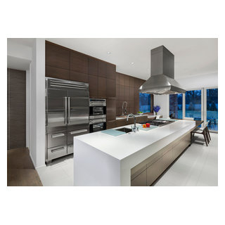 Sub-Zero / Wolf - Modern Kitchen (Walnut) - Moderno - Cocina - Chicago - de  Miro Kitchen Design | Houzz