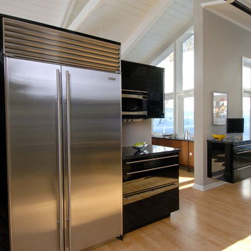 Subzero Stainless Steel Refrigerator with High Gloss Black Cabinets