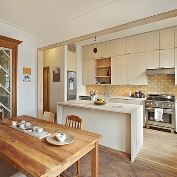 Sunset Park Townhouse, Brooklyn