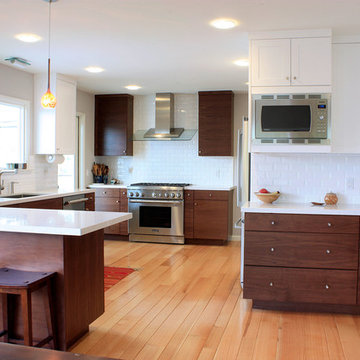Super Clean Contemporary Kitchen