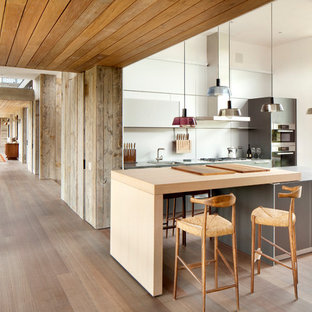 Contemporary kitchen ideas - Example of a trendy kitchen design in Other with flat-panel cabinets, gray cabinets, wood countertops and stainless steel appliances