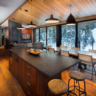 Tahoe Ski Cabin