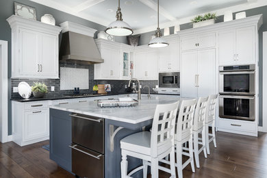 Kitchen - transitional l-shaped dark wood floor and brown floor kitchen idea in Grand Rapids with shaker cabinets, white cabinets, multicolored backsplash, stainless steel appliances, an island and black countertops