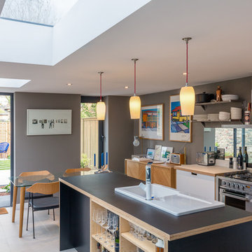 Teddington Extension - Wimshurst Pelleriti