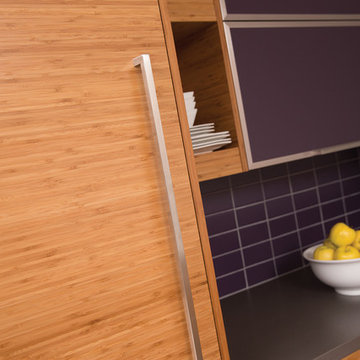 The Beauty of Bamboo - Close Up of Contemporary Bamboo Kitchen Cabinets