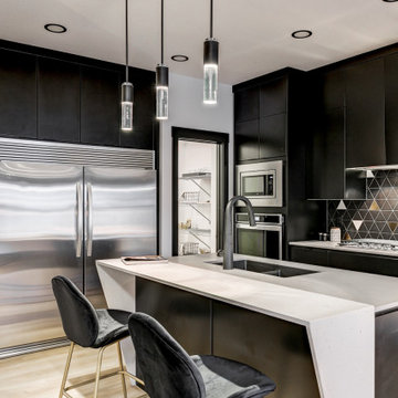 The Castor Single Family Home: Kitchen