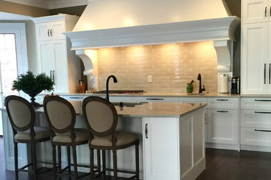 Inspiration for a large transitional single-wall open concept kitchen remodel in St Louis with an island