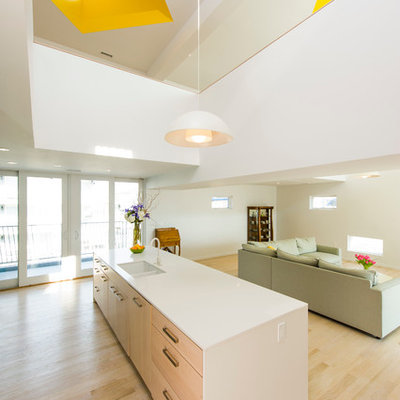 Inspiration for a scandinavian light wood floor open concept kitchen remodel in DC Metro with a double-bowl sink, flat-panel cabinets, light wood cabinets and an island
