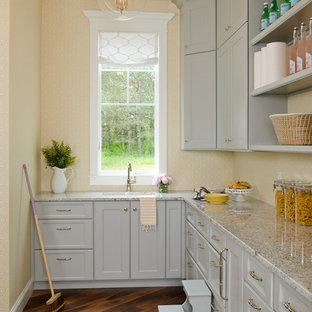 Large traditional kitchen pantry photos - Kitchen pantry - large traditional dark wood floor kitchen pantry idea in Minneapolis with an undermount sink, flat-panel cabinets, gray cabinets, granite countertops, paneled appliances and no island