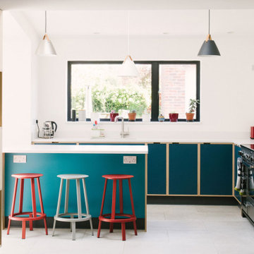 The Wests - Blue Plywood Kitchen