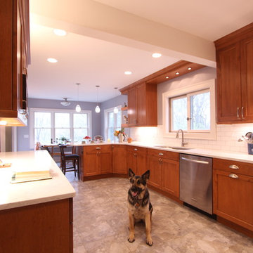 Tile Look Vinyl Floor in Kitchen is Dog Approved