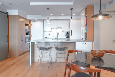 Eat-in kitchen - small contemporary u-shaped light wood floor and beige floor eat-in kitchen idea in Toronto with an undermount sink, flat-panel cabinets, white cabinets, paneled appliances, a peninsula and gray countertops