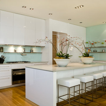 Toronto Contemporary Home