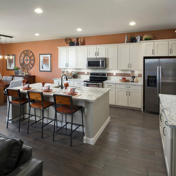 Torrey Pines Plan at Victoria | Phoenix, AZ