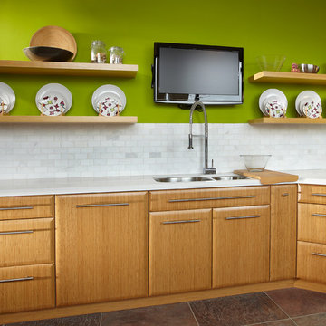 Traditional and Contemporary Kitchens