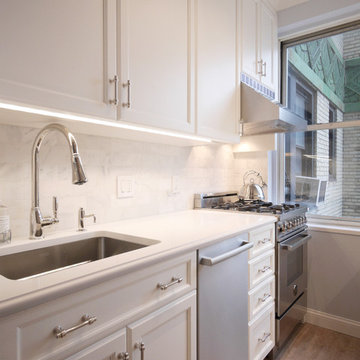 Traditional Galley Kitchen / Sink Wall