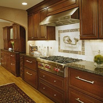 Traditional Gourmet Kitchen Addition/Expansion