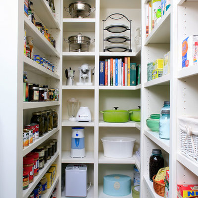 Elegant kitchen pantry photo in Other with open cabinets and white cabinets