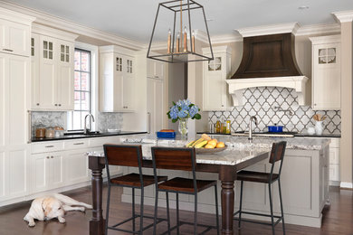 Kitchen - transitional kitchen idea in St Louis with flat-panel cabinets and an island
