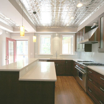 Transitional Kitchen in Hyde Park