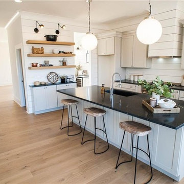 Transitional Kitchen Renovation