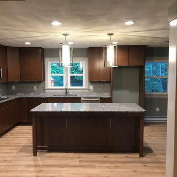 Transitional Kitchen Renovation