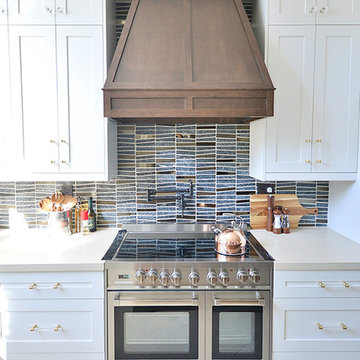 Transitional Kitchen Renovation