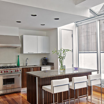 Tribeca Penthouse Kitchen