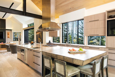 Kitchen - contemporary kitchen idea in Denver