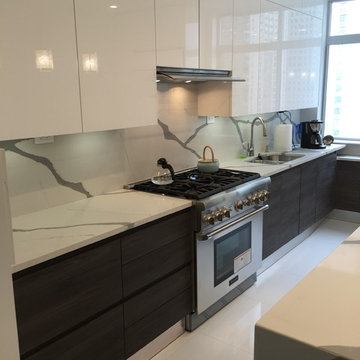 Two Tone Kitchen in New York City Appartment