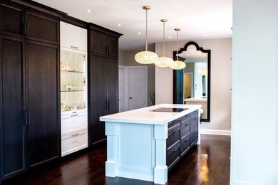 Two-tone  transitional kitchen in Lemont