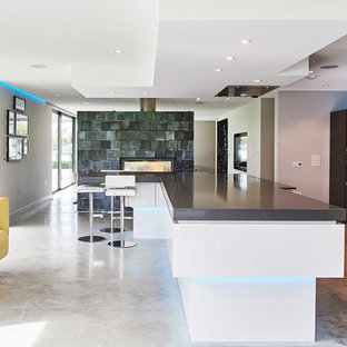 Ultra Contemporary Kitchen