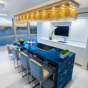 Ultra-Contemporary Miami kitchen