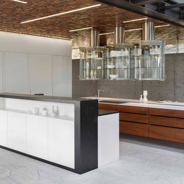 Ultra-Modern Home