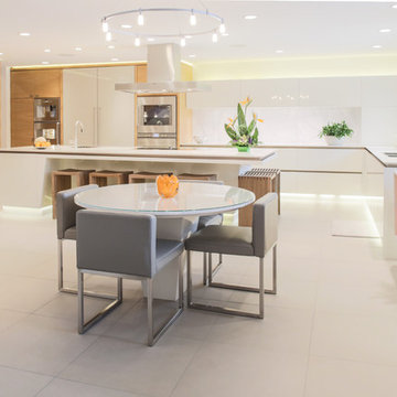 Ultra-modern kitchen