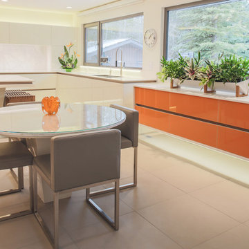 Ultra-modern kitchen