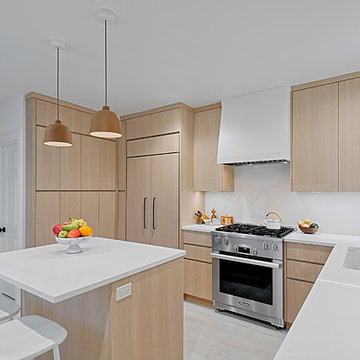 Ultra Modern Kitchen Design-Chicago