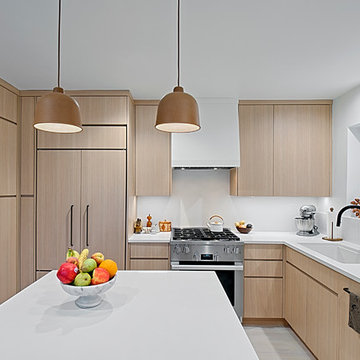 Ultra Modern Kitchen Design-Chicago