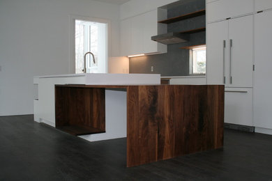 Photo of a contemporary kitchen in Detroit.