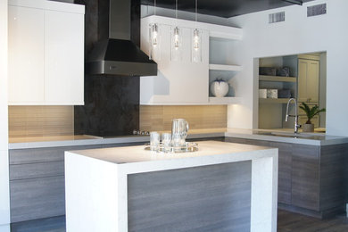 This is an example of a contemporary kitchen in Orlando.