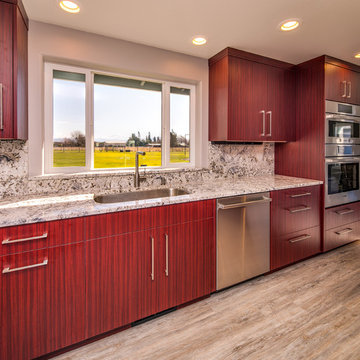 Undermount Sink with a View