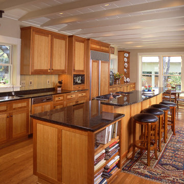 Unique Ranch Style - Alamo Height, San Antonio