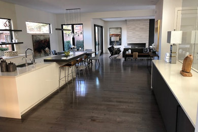 Example of a mid-sized minimalist galley dark wood floor and brown floor eat-in kitchen design in Denver with an undermount sink, flat-panel cabinets, white cabinets, stainless steel appliances and an island