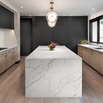Urban Chic Kitchen Remodel in Oak Hill, Virginia