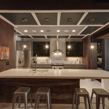 Urban Industrial Living