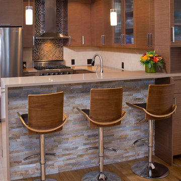 Vail Colorado Modern Kitchen Remodel - Echo Wood Veneer
