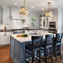 https://www.houzz.com/photos/various-projects-transitional-kitchen-new-york-phvw-vp~63616085