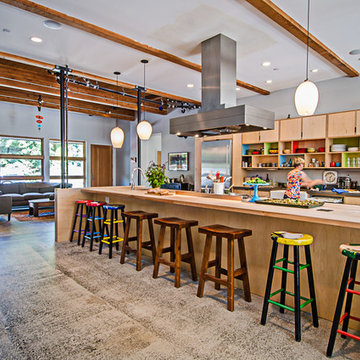 Vashon Barn Conversion