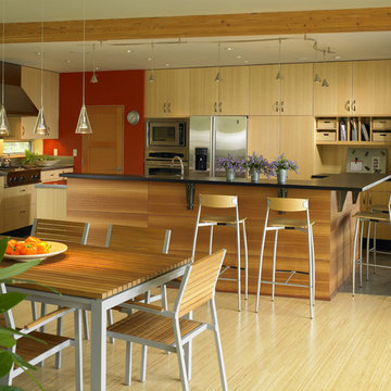 Vashon Residence kitchen