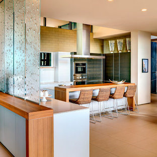 Idee per una cucina moderna di medie dimensioni con ante lisce, ante grigie, elettrodomestici in acciaio inossidabile, pavimento in gres porcellanato e pavimento beige